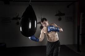 everlast boxing heavy bag hydrostrike