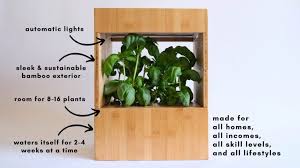 This Plant Box Makes It Easy To Grow