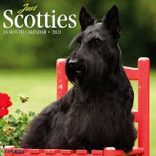 scottie dog stuff 51 off