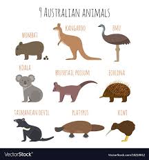 Vector Set Of Australian Animals Icons