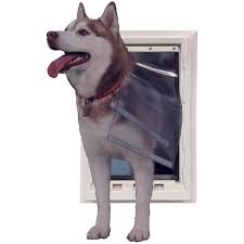 Dual Flap Dog And Pet Door
