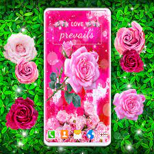 Spring Rose Live Wallpaper Apk