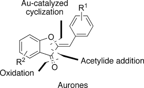 Versatile And Expeditious Synthesis Of
