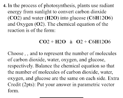 Photosynthesis Plants Use Chegg