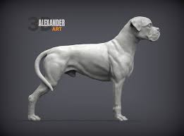 Boxer Dog 3d Model 3d Printable Cgtrader