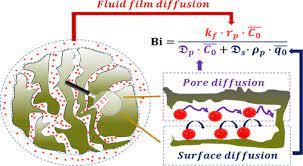 Liquid Solid Mass Transfer In