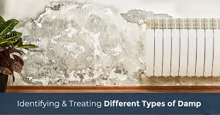 Diffe Types Of Damp