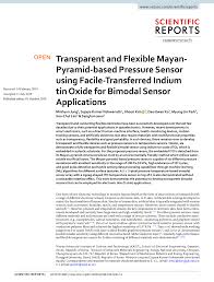 pdf transpa and flexible mayan