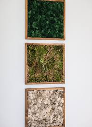 How To Make Diy Moss Wall Art Cottage