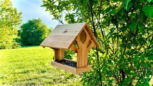 Tree Shaped Bird Feeder Plans Diy Bird
