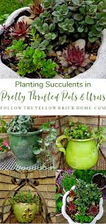 Planting Succulents In Pretty Thrifted