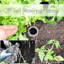 Diy Self Watering Planter Cleverly