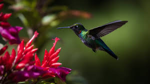 Hummingbird Flying By Green Flowers