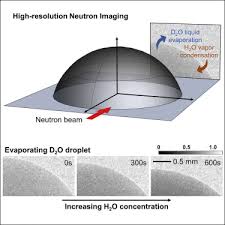 High Resolution Neutron Imaging Reveals
