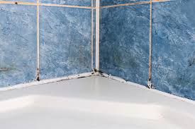 Dixie Shower Doors