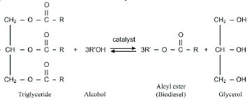 Of Biodiesel Ion