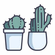 Garden Plant Pots Cactus Decor Cactus