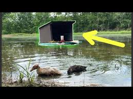 Diy Budget Floating Duck House