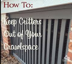 keep critters out of your crawlspace