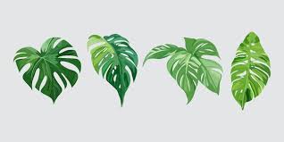 Pots Icon Set Of Tree Garden Plant Vector