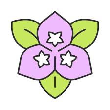 Bougainvillea Flower Color Icon