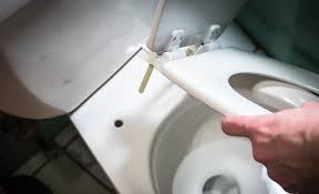 How To Install A Toilet Seat The Home