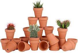 Terra Cotta Plant Pots