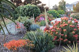 Top 10 Plants For Windy Gardens Houzz Nz