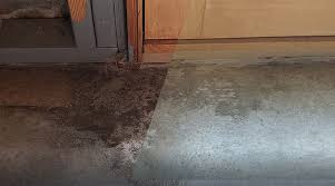 Odorxit Remove Urine Odors From Concrete