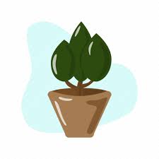 Green Indor Plant Pot Small Tree