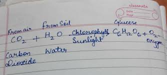 With Help Of Chemical Equation Explain
