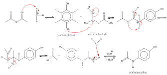 The Reaction Mechanism Of Acetaminophen
