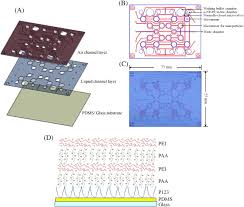 magnetic nanoparticle based immunoassay