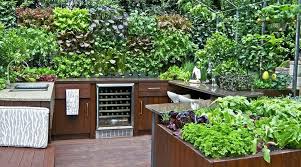 Outdoor Kitchen Edible Planters Platt
