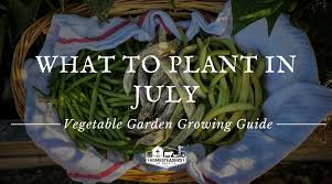 Vegetable Garden Growing Guide