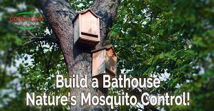 Mosquito Control