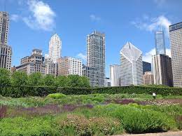 Green Places To Visit In Chicago