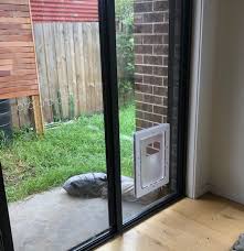Pet Doors By Glass Ontime