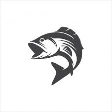 Fish Logo Png Transpa Images Free