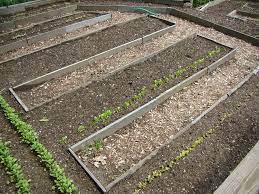 Garden Soil How To Prepare Your Soil