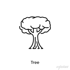 Tree Icon Vector Tree Sign Symbol