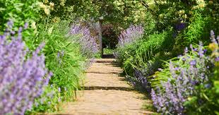 Garden Paths In Your Yard