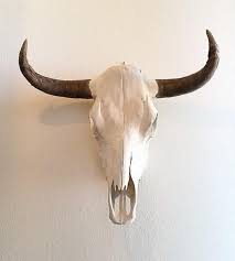 Animal Skull Decor Skull Painting Cow