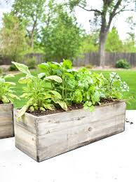 Simple Herb Garden Centerpieces Home