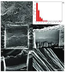 focused ion beam images a inside of