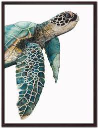 Great Sea Turtle Mississauga