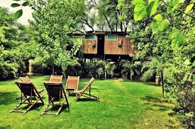 6 Best Tree Houses In India Which Are