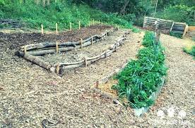 What Is Permaculture Designing A