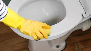 Eliminate Yellow Toilet Seat Stains