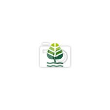 Eco Park Logo Icon Design Template